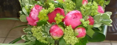 Business 3 image MOOD MOSS FLOWERS Shopping in Ottawa ON