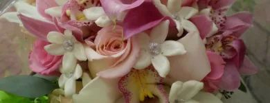 Business 5 image MOOD MOSS FLOWERS Shopping in Ottawa ON