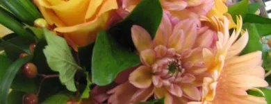 Business 1 image MOOD MOSS FLOWERS Shopping in Ottawa ON