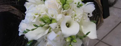 Business 6 image MOOD MOSS FLOWERS Shopping in Ottawa ON