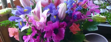 Business 8 image MOOD MOSS FLOWERS Shopping in Ottawa ON