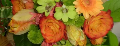 Business 9 image MOOD MOSS FLOWERS Shopping in Ottawa ON