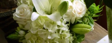 Business 10 image MOOD MOSS FLOWERS Shopping in Ottawa ON