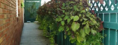 Business 8 image OASIS MARCBENOI Hair Salons in Moncton NB