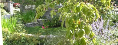 Business 5 image OUR DESIGNS LANDSCAPE ARCHITECTS Real Estate & Home Improvement in North Vancouver BC