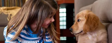 Entreprises 5 image OXI FRESH CARPET CLEANING Cleaning Services dans Kelowna BC