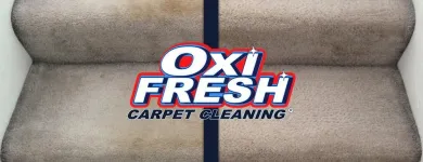 Entreprises 1 image OXI FRESH CARPET CLEANING Cleaning Services dans Oakville ON