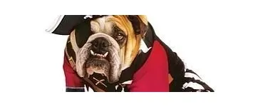 Entreprises 2 image OYA COSTUMES INC Shopping dans Montréal QC