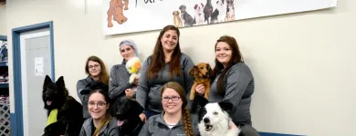 Entreprises 14 image PARTNERS NATURALLY INC Pet Grooming Services dans Grande Prairie AB