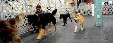 Entreprises 19 image PARTNERS NATURALLY INC Pet Grooming Services dans Grande Prairie AB