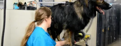 Entreprises 20 image PARTNERS NATURALLY INC Pet Grooming Services dans Grande Prairie AB