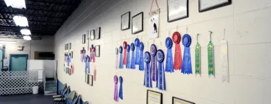 Entreprises 28 image PARTNERS NATURALLY INC Pet Grooming Services dans Grande Prairie AB