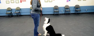 Entreprises 42 image PARTNERS NATURALLY INC Pet Grooming Services dans Grande Prairie AB