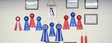 Entreprises 7 image PARTNERS NATURALLY INC Pet Grooming Services dans Grande Prairie AB