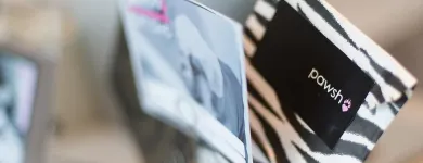 Business 28 image PAWSH DOG SPA & BOUTIQUE Pet Grooming Services in Vancouver BC