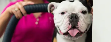 Business 29 image PAWSH DOG SPA & BOUTIQUE Pet Grooming Services in Vancouver BC