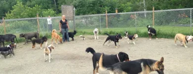 Business 2 image PENSION ET TOILETTAGE DESBEC Pet Sitters in Sherbrooke QC