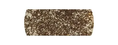 Business 5 image PEST CONTROL OAKVILLE Pest Control Equipment & Supplies in Oakville ON