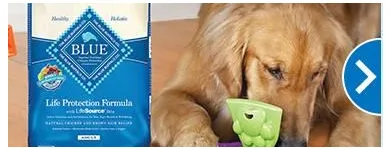 Entreprises 4 image PETSMART Shopping dans Fredericton NB