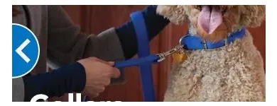 Entreprises 4 image PETSMART Shopping dans Bedford NS