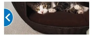 Business 5 image PETSMART Shopping in West Vancouver BC