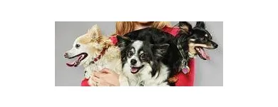 Business 9 image PETSMART Shopping in Richmond Hill ON