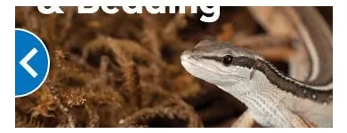 Entreprises 2 image PETSMART Shopping dans Vancouver BC