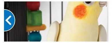 Entreprises 9 image PETSMART Shopping dans Vancouver BC