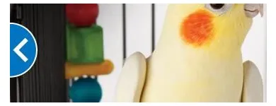 Business 6 image PETSMART Shopping in West Vancouver BC