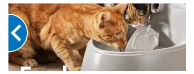 Business 7 image PETSMART Veterinarians in Victoria BC