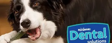 Business 9 image PETSMART Veterinarians in Victoria BC