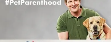 Business 2 image PETSMART Shopping in Richmond Hill ON