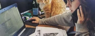 Entreprises 1 image PREMIER PROPERTY SOLUTIONS INC Property & Estate Management dans Winnipeg MB