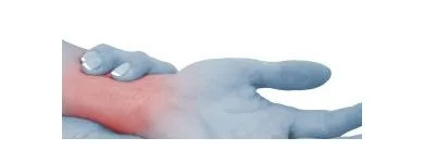 Business 4 image PRO CARE PHYSIOTHERAPY & ATHLETES' INJURY CENTER Social Service & Welfare Organizations in Ottawa ON