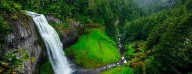 Entreprises 11 image PSYCHOLOGY HEALTH SOLUTIONS Psychologists dans Hamilton ON