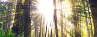 Entreprises 12 image PSYCHOLOGY HEALTH SOLUTIONS Psychologists dans Hamilton ON