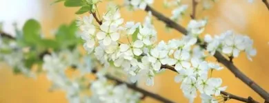 Entreprises 16 image PSYCHOLOGY HEALTH SOLUTIONS Psychologists dans Hamilton ON