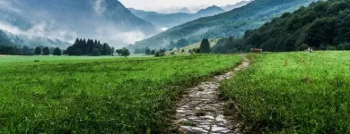 Entreprises 17 image PSYCHOLOGY HEALTH SOLUTIONS Psychologists dans Hamilton ON