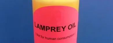 Business 9 image ROB'S BAITS Sports & Recreation in Richmond BC