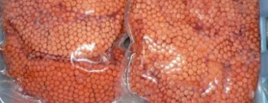 Business 4 image ROB'S BAITS Sports & Recreation in Richmond BC