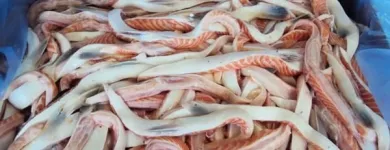 Business 10 image ROB'S BAITS Sports & Recreation in Richmond BC