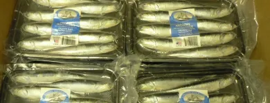 Business 12 image ROB'S BAITS Sports & Recreation in Richmond BC