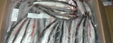 Business 15 image ROB'S BAITS Sports & Recreation in Richmond BC