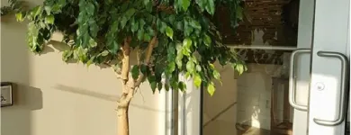 Entreprises 2 image RUSHELL'S BEAUTY & WELLNESS SPA Beauty & Personal Care Services dans Etobicoke ON