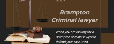 Business 8 image SAGGI LAW FIRM Criminal Defense Lawyers in Brampton ON