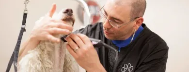 Entreprises 8 image SALON CANIN Pet Grooming Services dans Québec QC