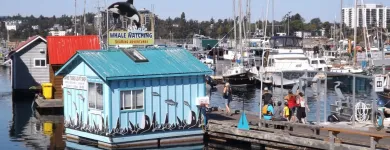 Business 1 image SEAKING ADVENTURES Travel Agents in Victoria BC