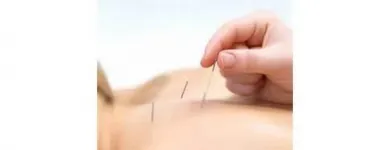 Business 6 image SHELBOURNE PHYSIOTHERAPY Yoga Instruction & Classes in Victoria BC