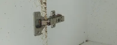 Business 3 image SHIELD PEST AND WILDLIFE CONTROL Pest & Vermin Control in Lethbridge AB