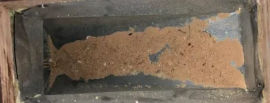 Business 12 image SM DUCT CLEANING - TORONTO Business & Professional Services in Toronto ON